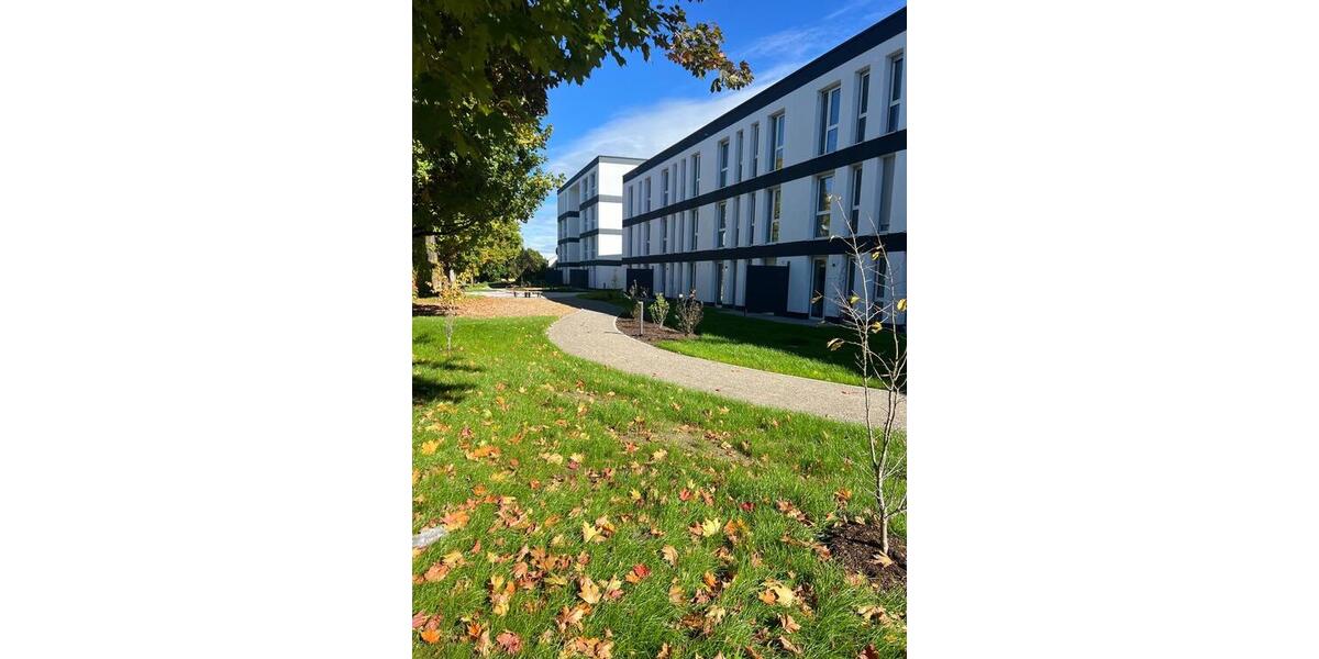 1,5-Zimmer-Neubau mit Dachterrasse – sofort einziehen 1.5 zimmer