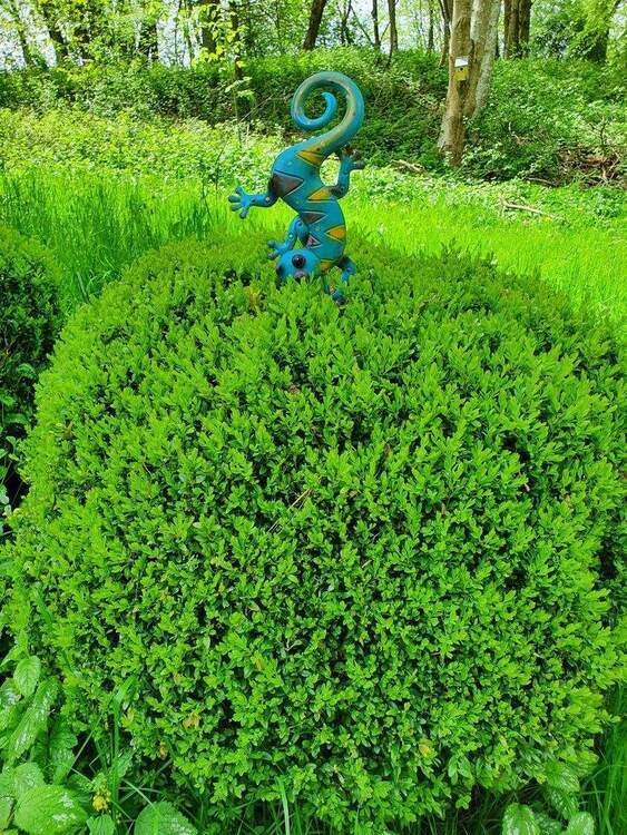 Wohnen im Grünen 2 zimmer