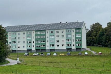 Wohnung Claußnitz - 3 Zimmer, 62 m&sup2;, 310&euro; | Angebot:25917901