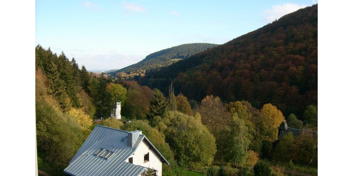 Etagenwohnung Ilmenau - 2 Zimmer, 71 m&sup2;, 430&euro; | Angebot:25365528