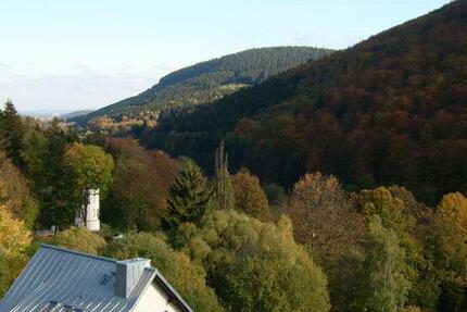 Wohnung Ilmenau - 2 Zimmer, 71 m&sup2;, 430&euro; | Angebot:25365528