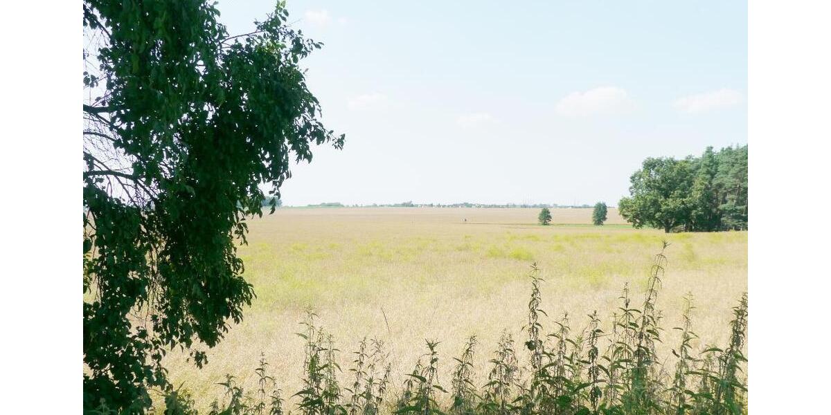 Etagenwohnung Nünchritz - 3 Zimmer, 62 m&sup2;, 320&euro; | Angebot:25979090