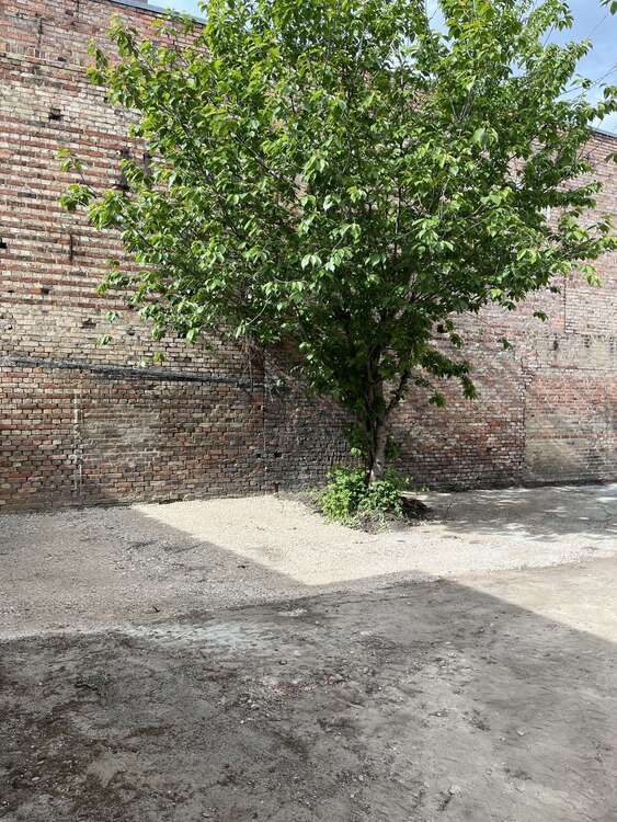 Garage zu vermieten in Braunschweig 80 €