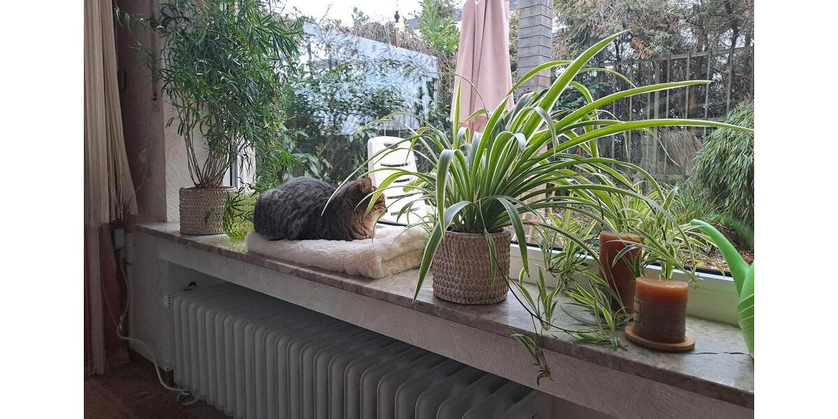 Zimmer frei in netter Haus-WG Ü40 1 zimmer