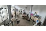 Gewerbeobjekt Sankt Goarshausen - 550&euro; | Angebot:25840512