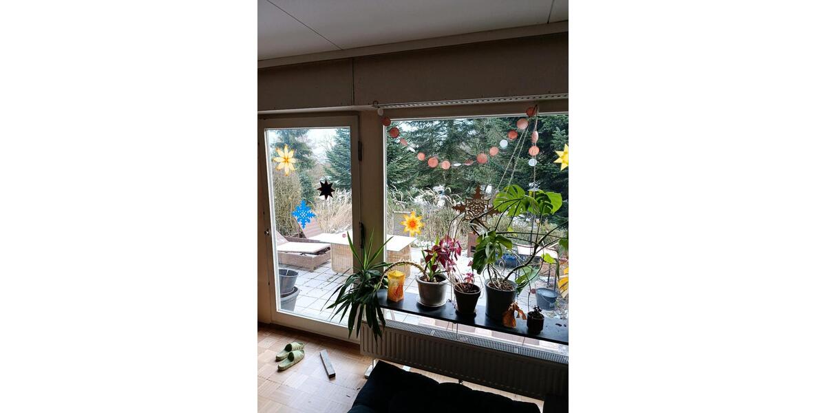 Wohnen auf Zeit Alfter - 1 Zimmer, 11 m&sup2;, 347&euro; | Angebot:24849485