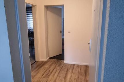 2-Zi-Wohnung - Einbauküche, Kühl-Gefrierschr., Wasch-Spülmasch. 2 zimmer