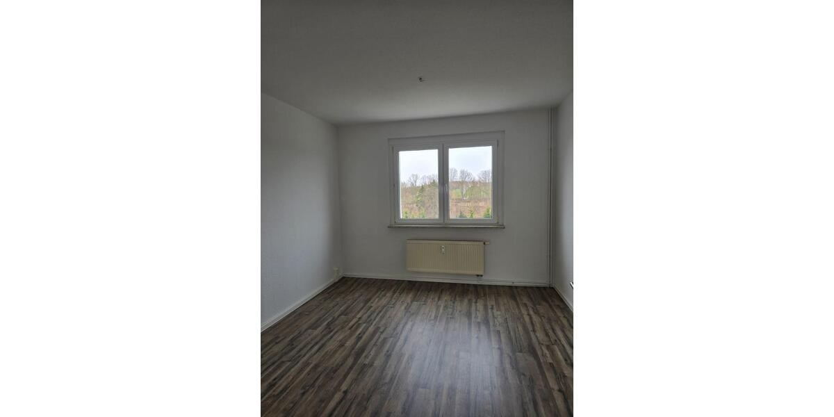 Etagenwohnung Hainichen - 3 Zimmer, 62 m&sup2;, 303&euro; | Angebot:26455735