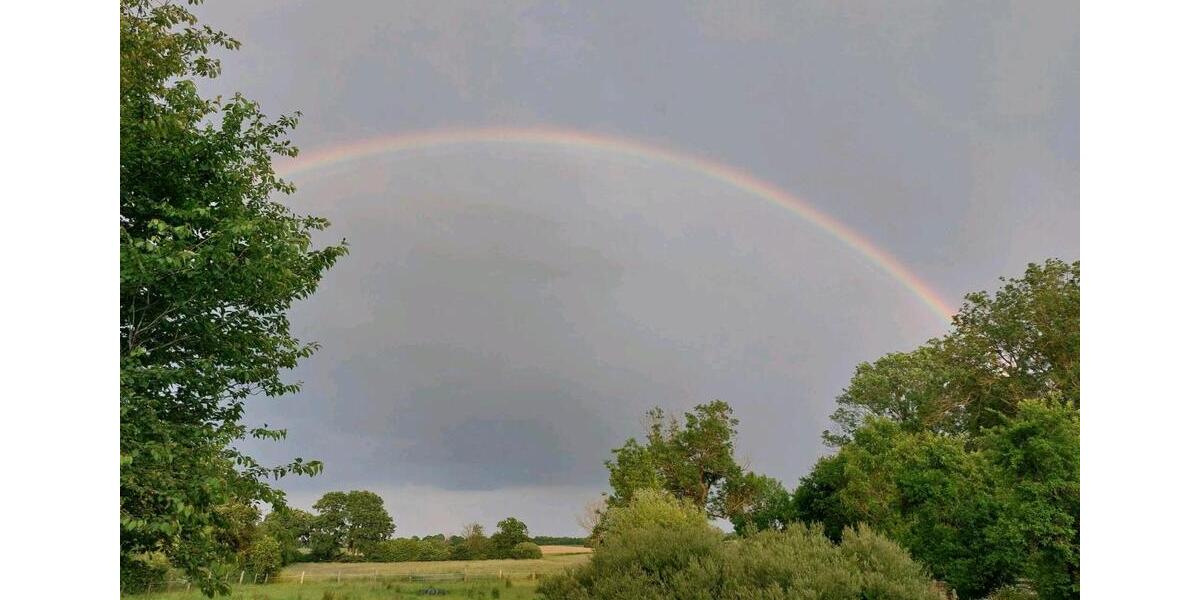 Wohnen auf Zeit Grömitz - 2 Zimmer, 60 m&sup2;, 700&euro; | Angebot:24773641