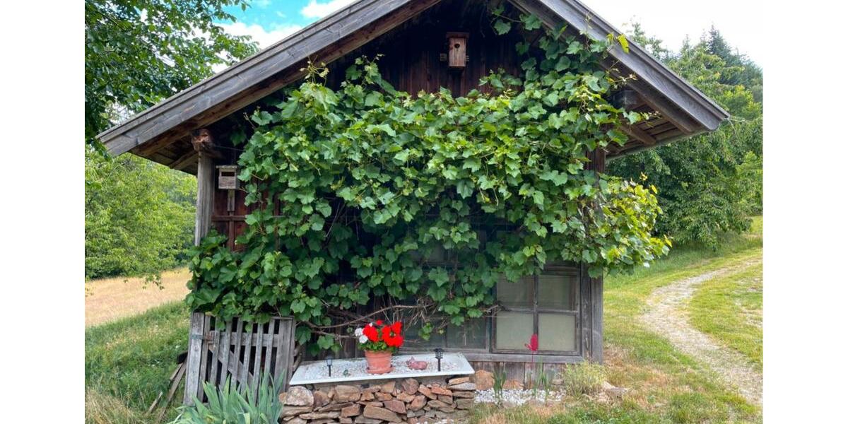 Etagenwohnung Arrach - 3.5 Zimmer, 450&euro; | Angebot:11047614