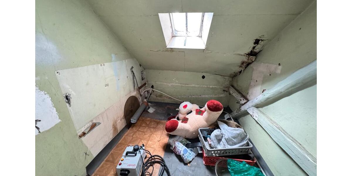 ZWEI HÄUSER, SCHUPPEN UND GARAGE 8 zimmer