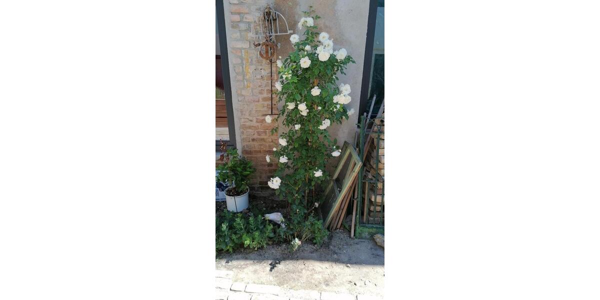 Maisonettenwohnung Werder (Havel) - 4 Zimmer, 130 m&sup2;, 1.990&euro; | Angebot:25957788