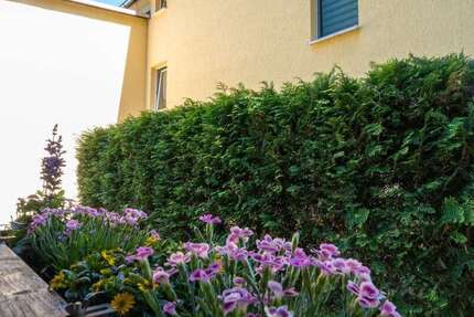 Wohnung Lauter-Bernsbach Bernsbach - 2 Zimmer, 54 m&sup2;, 324&euro; | Angebot:26795276