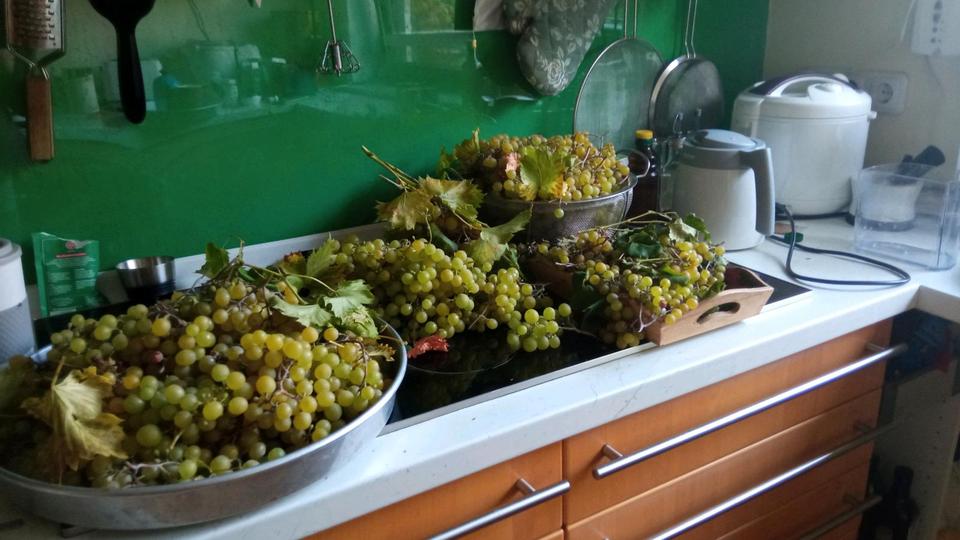 Wohnen auf Zeit Friedrichsdorf - 6 Zimmer, 200 m&sup2;, 750&euro; | Angebot:24842304