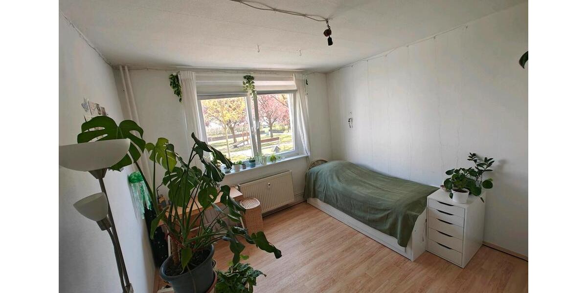 Wohnen auf Zeit Greifswald - 1 Zimmer, 13 m&sup2;, 258&euro; | Angebot:26415716