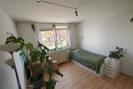 Wohnen auf Zeit Greifswald - 1 Zimmer, 13 m&sup2;, 258&euro; | Angebot:26415716