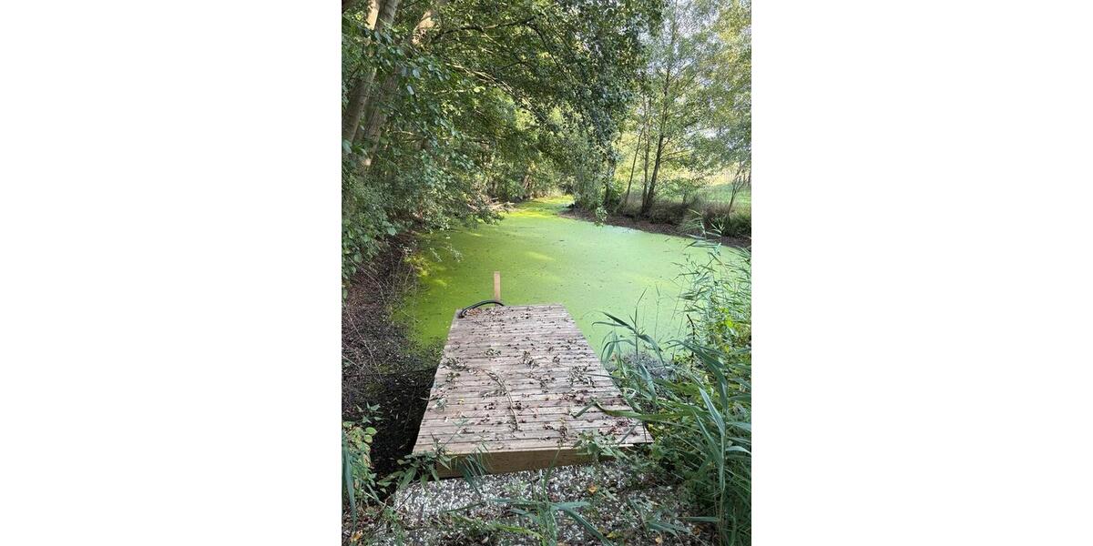 Fischteiche zu verpachten, Teich Pacht Wienhausen bei Celle zimmer