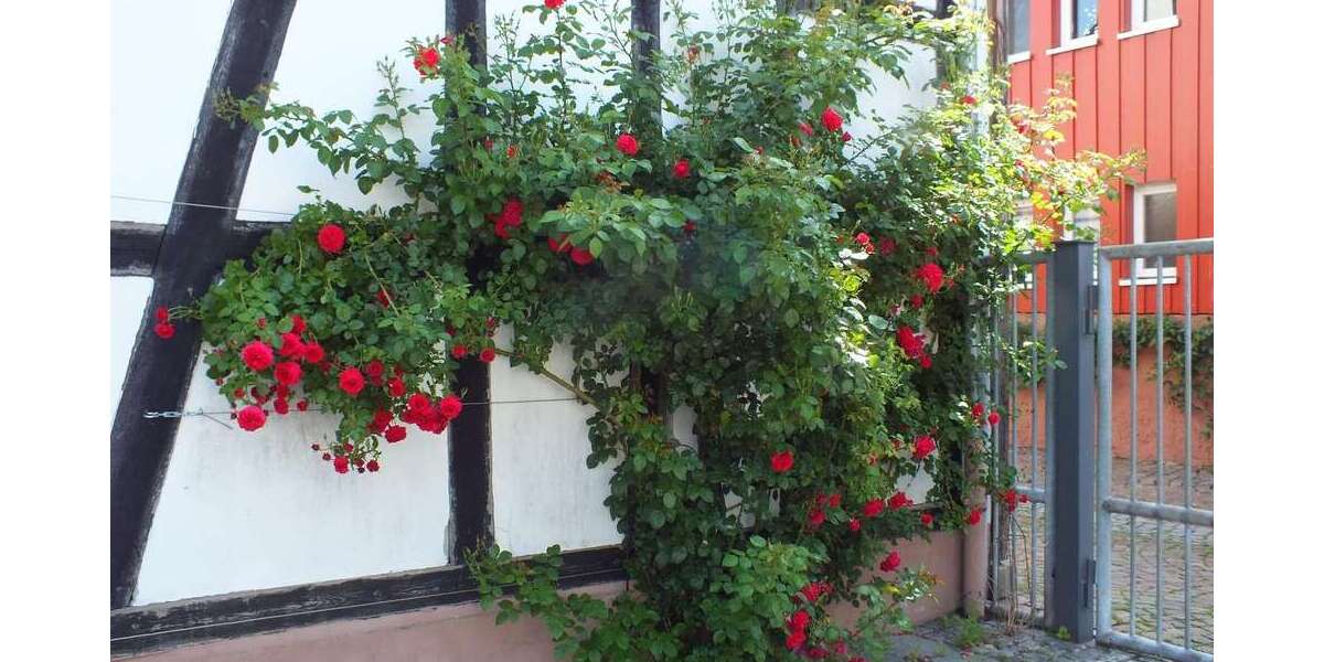 Etagenwohnung Langenselbold - 3 Zimmer, 65 m&sup2;, 670&euro; | Angebot:26100129