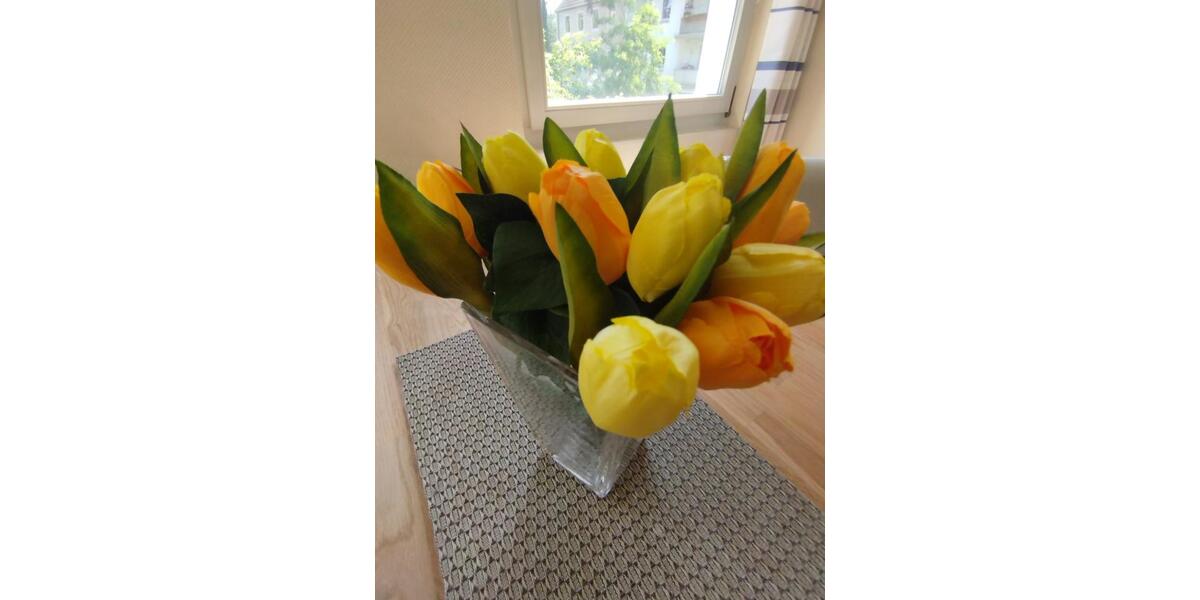 Wohnen auf Zeit Krefeld Benrad - 1.5 Zimmer, 57 m&sup2;, 990&euro; | Angebot:25523211