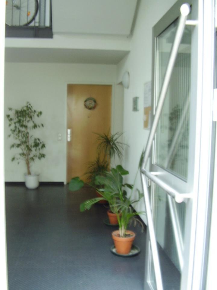 1 Zimmerwohnung HD WESTSTADT ab sofort, TOP LAGE