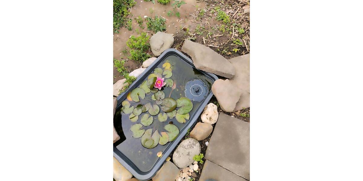 drei Zimmer Wohnung 3 zimmer