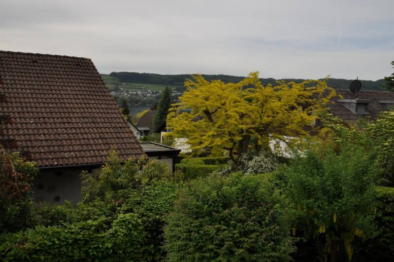 Etagenwohnung Gaienhofen-Hemmenhofen Hemmenhofen - 4 Zimmer, 131 m&sup2;, 1.450&euro; | Angebot:26545146