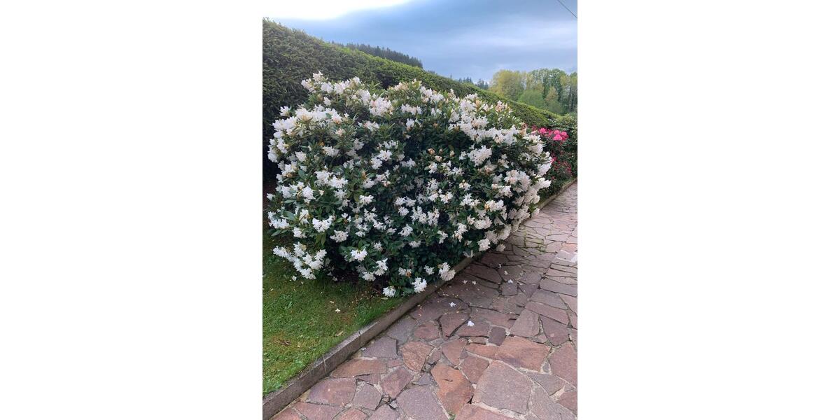 Wohnen auf Zeit Bad Kötzting - 2 Zimmer, 35 m&sup2;, 530&euro; | Angebot:26254295