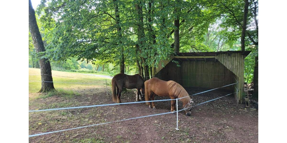 Etagenwohnung Pelm - 1 Zimmer, 16 m&sup2;, 450&euro; | Angebot:25323598