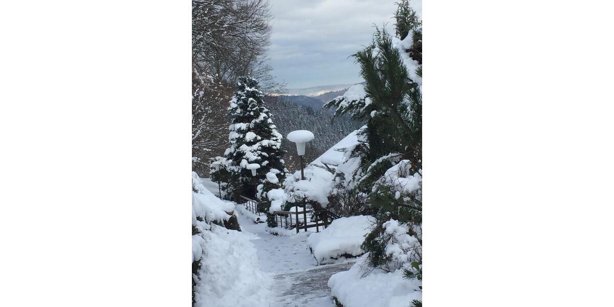 Erdgeschoßwohnung Waldbrunn - 2.5 Zimmer, 62 m&sup2;, 570&euro; | Angebot:24349853