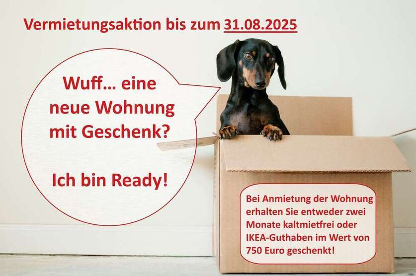 Wohnung zum Mieten in Halle (Saale) 430 € 59 m²