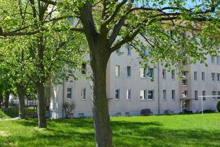 Wohnung zum Mieten in Borna 272 € 45.3 m² 2 zimmer