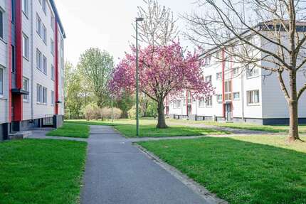Wohnung Baesweiler Setterich - 3 Zimmer, 63 m&sup2;, 460&euro; | Angebot:27259717