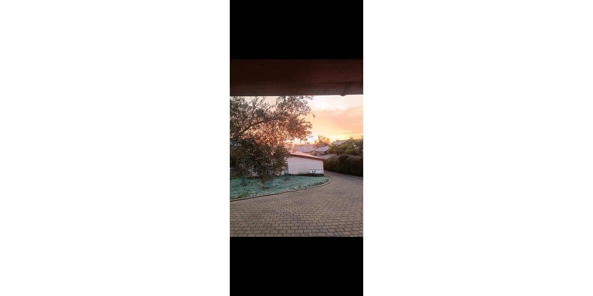 Etagenwohnung Wallertheim - 1 Zimmer, 72 m&sup2;, 800&euro; | Angebot:25149212