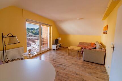 Wohnen auf Zeit Baden-Baden Baden - 2 Zimmer, 60 m&sup2;, 1.150&euro; | Angebot:26687995