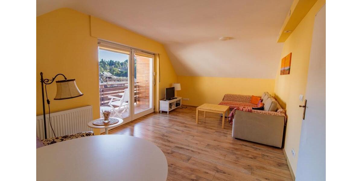 Wohnen auf Zeit Baden-Baden Baden - 2 Zimmer, 60 m&sup2;, 1.150&euro; | Angebot:26687995