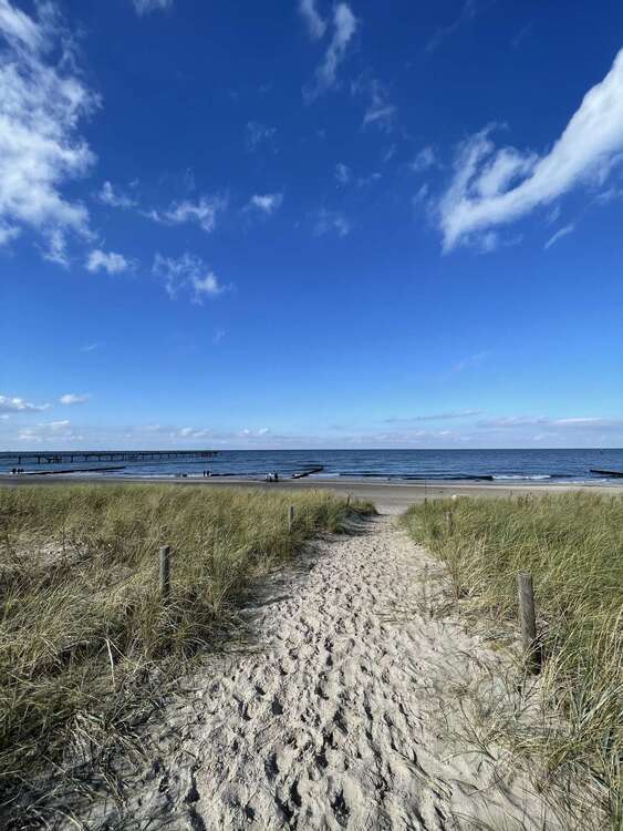 Ihr eigenes Haus direkt an der OSTSEE! Mit Wintergarten, Einbauküche und Einliegerwohnung! 8 zimmer
