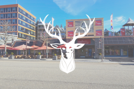 Gewerbeobjekt Feldberg - 5.500&euro; | Angebot:24697489