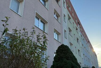 Kleine Familienwohnung 3 zimmer