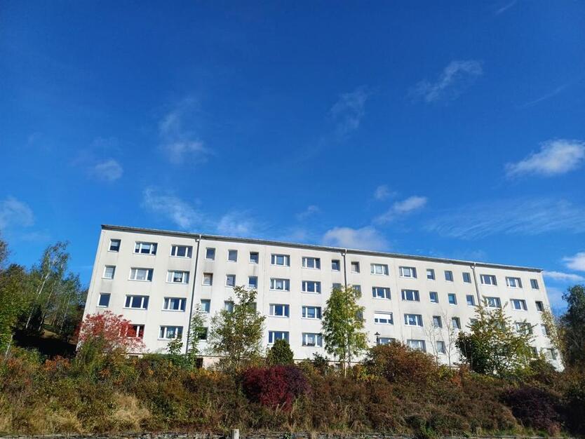 4-Raum-Wohnung im Grünen