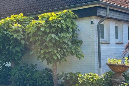 Haus Versmold - 8 Zimmer, 380 m&sup2;, 1.300&euro; | Angebot:26289081