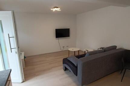 Wohnen auf Zeit Mommenheim - 1 Zimmer, 40 m&sup2;, 250&euro; | Angebot:26393262