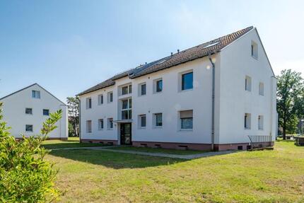 1-Zimmer-SingleWohnung mit neuem Laminatboden in Celle!