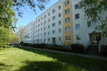 Wohnung Leipzig Grünau-Ost - 3 Zimmer, 64 m&sup2;, 509&euro; | Angebot:26846500