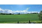 !! Attraktiv neu hergerichtete 3 Zi. Whg. mit Fernblick in Geringswalde bei Colditz Döbeln mit mögl. Gartenanteil und Glasfaseranschluss !!