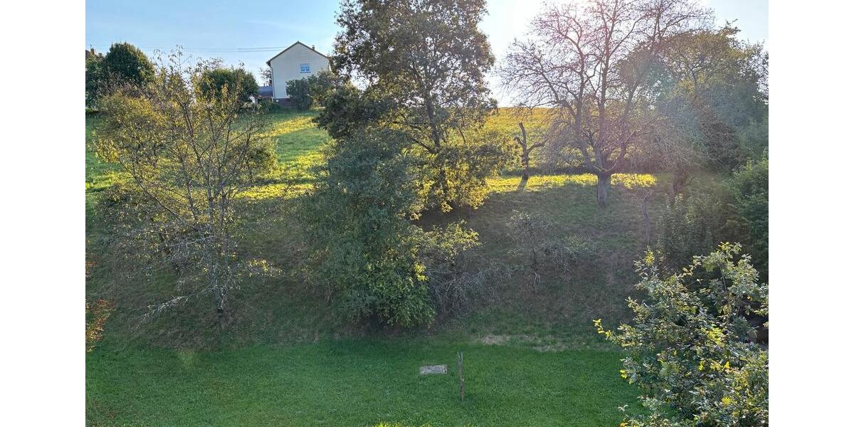 Dachgeschoßwohnung Zweibrücken - 3 Zimmer, 55 m&sup2;, 700&euro; | Angebot:26039218