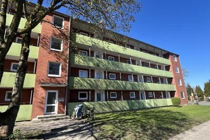 Wohnung Trappenkamp - 2.5 Zimmer, 64 m&sup2;, 450&euro; | Angebot:26253890