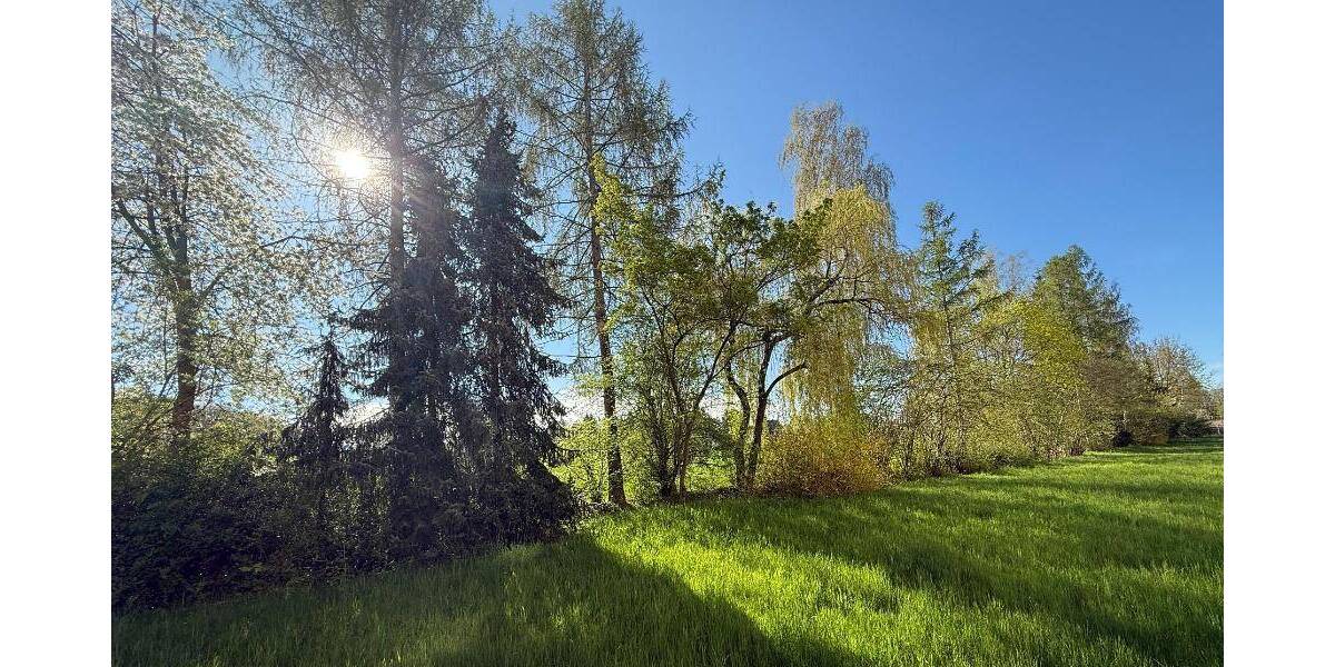 Etagenwohnung Wilkau-Haßlau Haßlau - 3 Zimmer, 57 m&sup2;, 320&euro; | Angebot:26476430