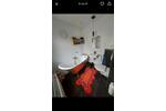 Wohnen auf Zeit Fürth Altstadt - 1 Zimmer, 70 m&sup2;, 450&euro; | Angebot:26578308