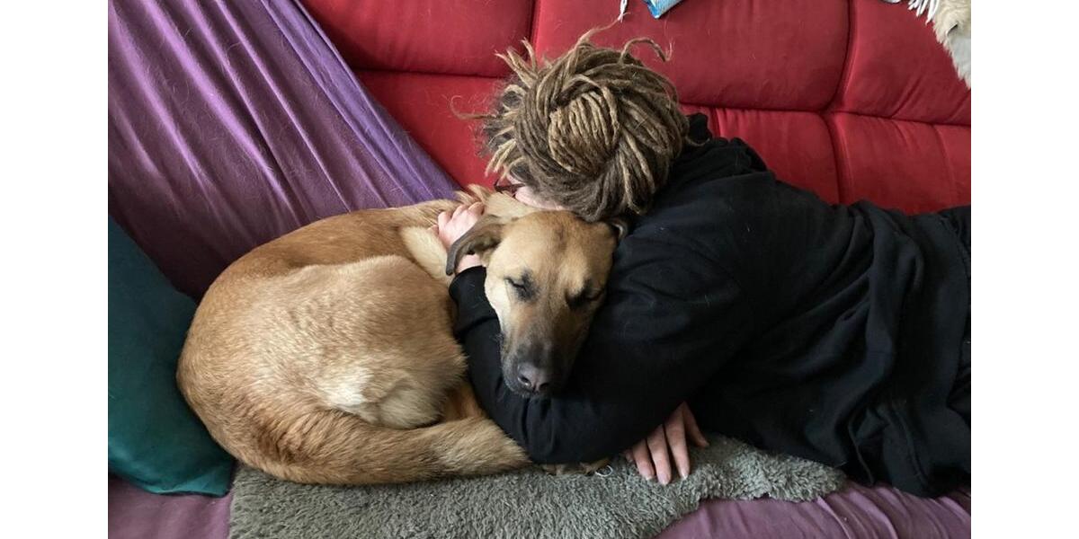 Wohnen auf Zeit Bad Münder am Deister - 1 Zimmer, 32 m&sup2;, 500&euro; | Angebot:25378824