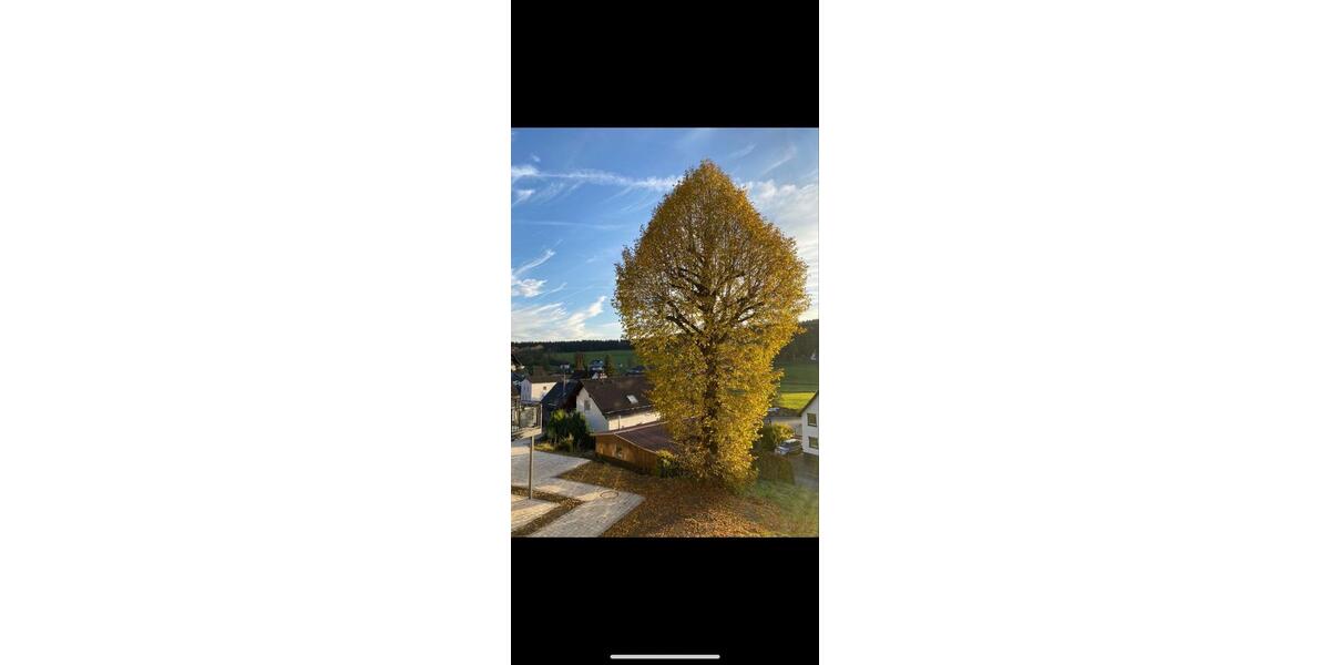 Rahrbach: 3-etagige Neubau-Design-Wohnung INKL. Nebenkosten provisionsfrei zu vermieten! 7 zimmer